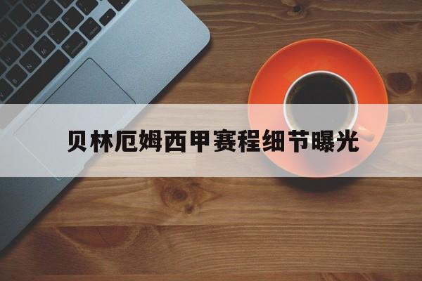贝林厄姆西甲赛程细节曝光(贝林厄姆西甲6个进球详细记录)